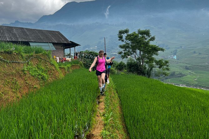 3-Day Trek in Amazing Muong Hoa Valley & ethnic Homestay - Making the most of terraces and sunrise without burning out