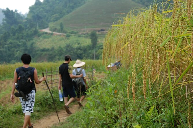 3-Day Trek in Amazing Muong Hoa Valley & ethnic Homestay - Your 3 days: what the walking days actually feel like