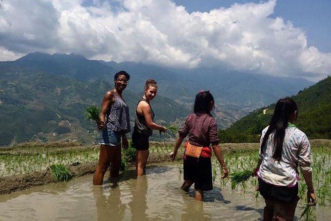 3 Days SAPA Real Experience at Local People House - Day 3 Morning: Cook breakfast, choose a longer trek or a lighter plan