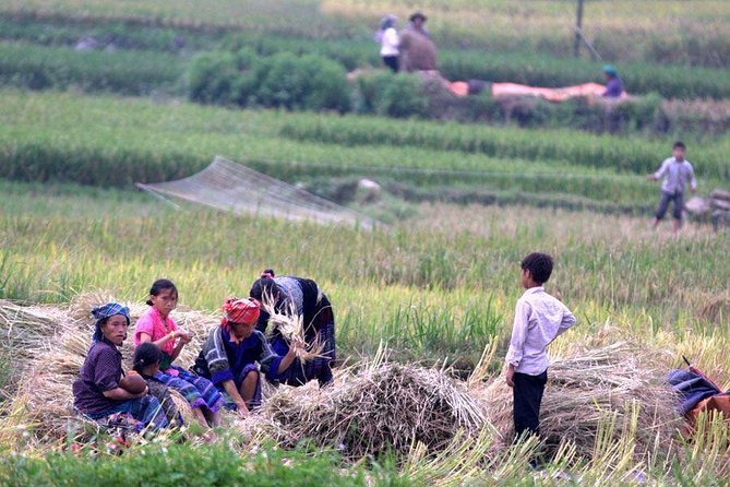 3 Days SAPA Real Experience at Local People House - The guide factor: Mama Zuzu’s team and why it matters