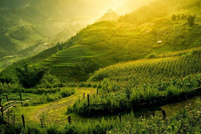 3 Days Sapa Tour with Night Train from Hanoi - Why This Hanoi-to-Sapa Plan Works: Overnight Train and Small-Group Hikes