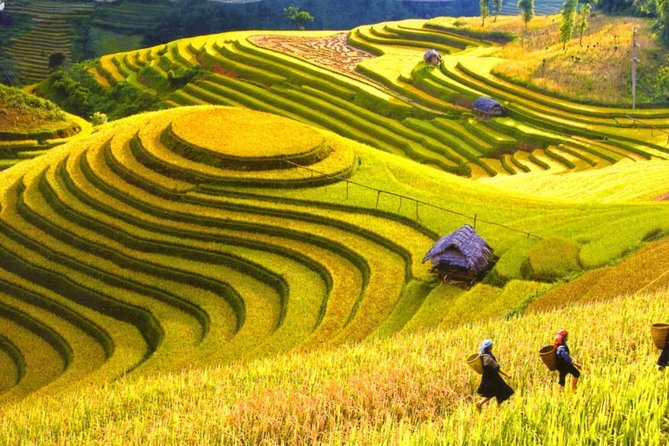3 Days Sapa Tour with Night Train from Hanoi - Sapa Time: Boutique Accommodation and a Breakfast That Starts You Right