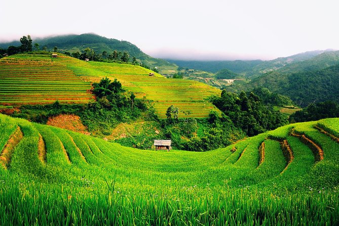 3 Days Sapa Tour with Night Train from Hanoi - Price and Logistics: What Makes It Worth It (or Not)