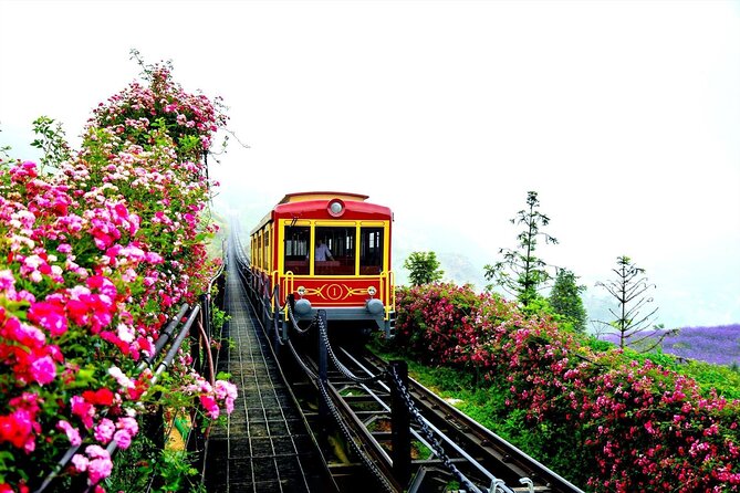 3 Days Tour & Fansipan Mountain Hotel & Bungalow from Hanoi - Pace, Weather, and What to Pack for a Smooth Trip
