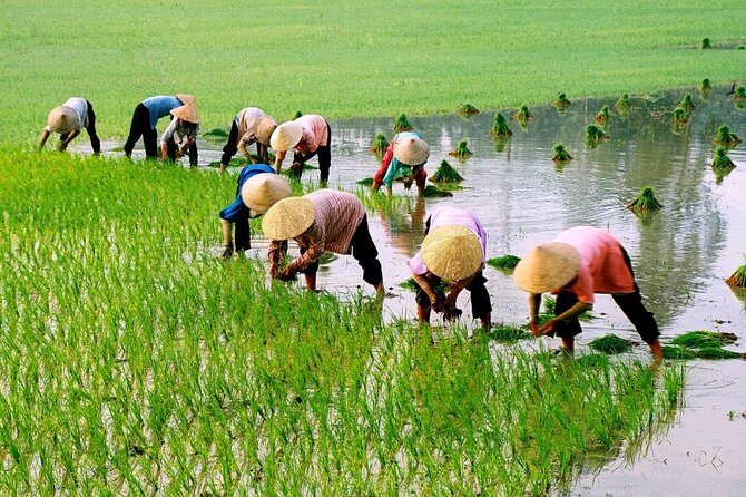 3 Hours Hoi An Countryside Motorbike Tour - Why a 3-Hour Motorbike Loop Fits Hoi An Perfectly