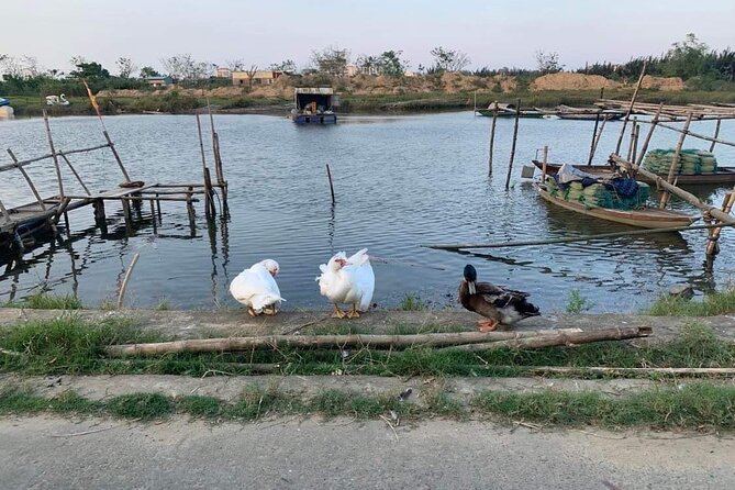 3 Hours Motorbike Tour in Hoi An Countryside. - What You Get Included: A Short Tour That Doesn’t Nickel-and-Dime You