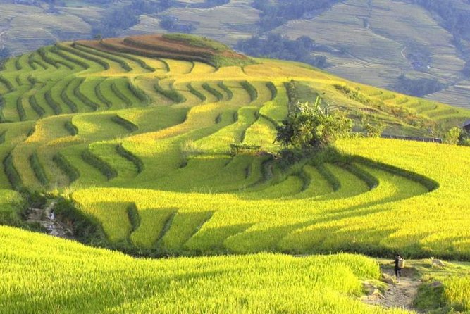 3-Night Sapa Trek and Homestay with Round Trip Transfer from Hanoi - Why This Sapa Trek Starts With an Overnight Train Ride