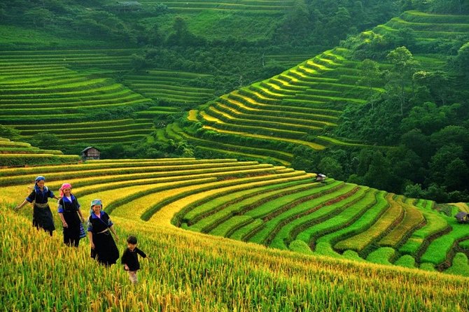 3-Night Sapa Trek and Homestay with Round Trip Transfer from Hanoi - Day 2 Morning Hike Toward Giang Ta Chai and the Muong Hoa Valley