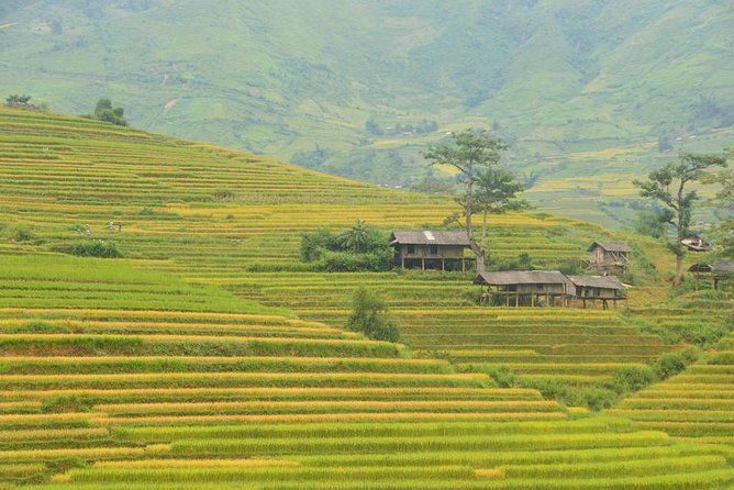 3-Night Sapa Trek and Homestay with Round Trip Transfer from Hanoi - Trekking Time, Trail Conditions, and Fitness Reality Check