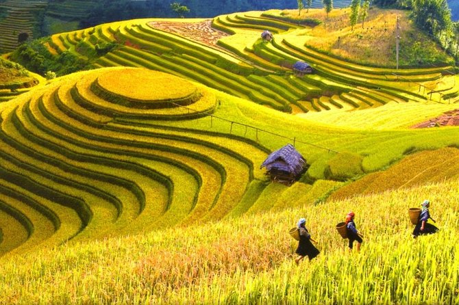 3-Night Sapa Trek and Homestay with Round Trip Transfer from Hanoi - Day 1: Hanoi Pickup, Night Train to Lao Cai, and the First Big Change of Pace