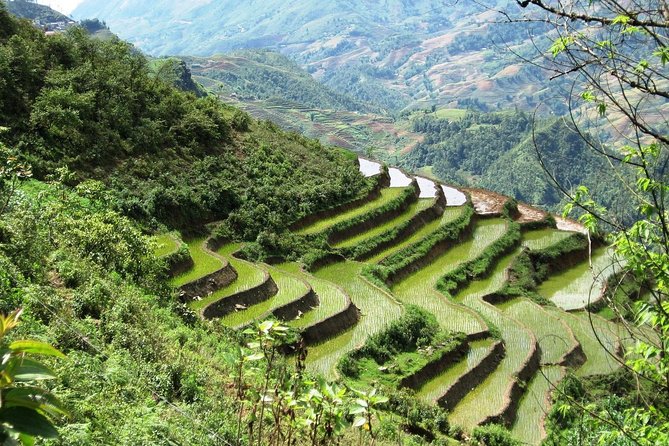 3-Night Sapa Trekking Tour from Hanoi - Arrival in Lao Cai and Sapa: Shower, Breakfast, and First Easy Steps