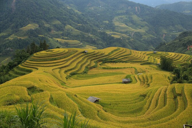 4-Day Tour in Ha Giang Loop with Professional Guide - Day 4: Breakfast at Du Gia, Free Time in Ha Giang, Then Hanoi