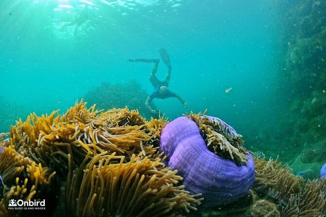 4 Islands & 2 Reefs - Discovery Snorkeling & Relaxing (MAX 12) - Key points at a glance