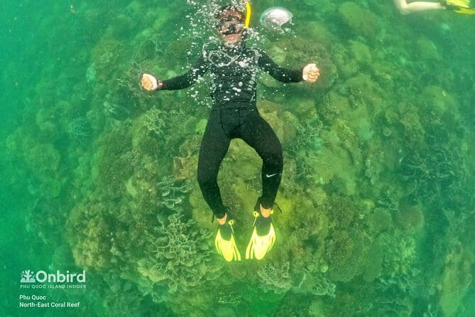 4 Islands & 2 Reefs - Discovery Snorkeling & Relaxing (MAX 12) - Phu Quoc’s 4 Islands, 2 Reefs format: why it works