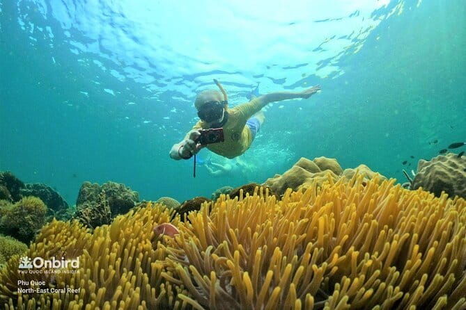 4 Islands & 2 Reefs - Discovery Snorkeling & Relaxing (MAX 12) - Reef one and reef two: how the guide keeps coral safe