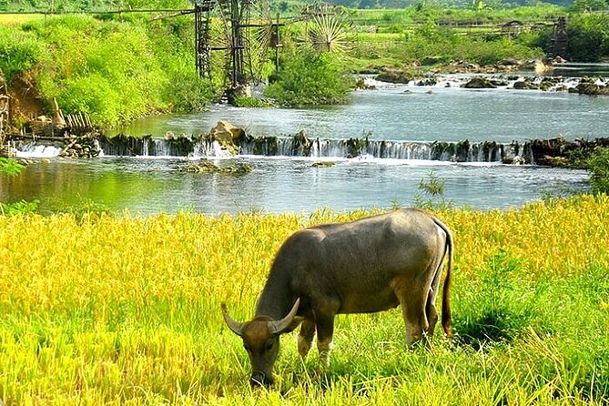 5, 6, 7 day Vietnam Itinerary | Charming | 2026 Northern Packages - Hanoi pickup at 7:45, then pagodas and memorials by 10
