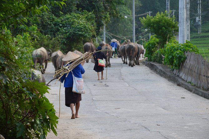 6-Day Off The Beaten Track Tour of North Vietnam from Hanoi - Ban Gioc waterfall on the border, then Nguom Ngao Cave underground