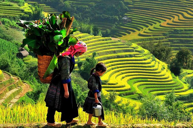 7 Days Vietnam Travel (Hanoi- Ninh Binh - Sapa - Ha Long) - Day 5: Ha Long Bay Cruise Night with Sung Sot Cave, Ti Top, and a Sunset Party