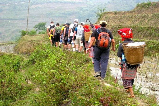 8-Day Discover Northern Vietnam Highlight: Hanoi - Ninh Binh - Sapa - Halong Bay - Sapa Trekking With Cat Cat, Sin Chai, Lao Chai, and Ta Van