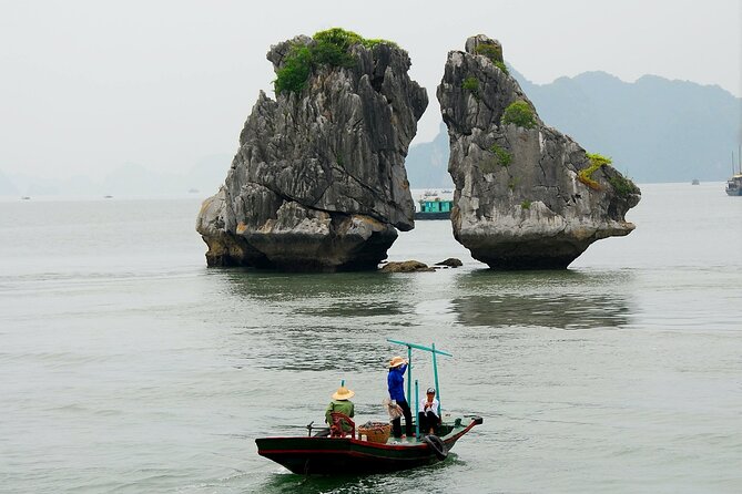 8-Days Glimpse of Vietnam - Ho Chi Minh, Hoi An and Halong Bay - Day 4 Hoi An Countryside: Market Shopping, Basket Boats, and Cooking What You Eat