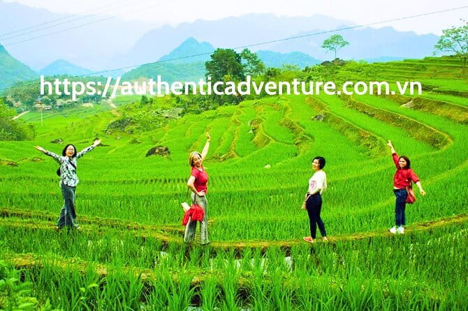 9-Day Vietnam Tour | Explore the North and Central | Top Packages - Quick hits I’d bet on