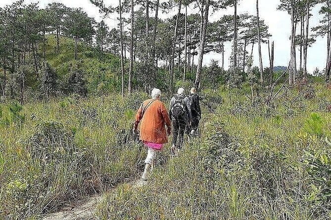 A full day trip From Nha Trang To Da Lat Or Vice Versa - Temples, rice work, and villages: what the cultural stops are really doing