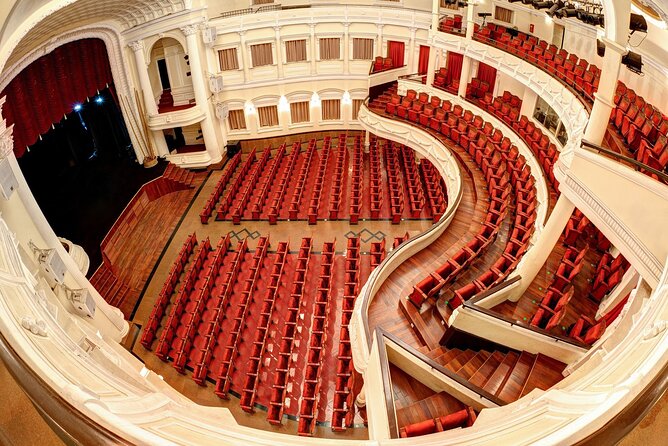 A O Show - Included: Tour guide, Car Pick Up And Drop Off - Who should book this show?