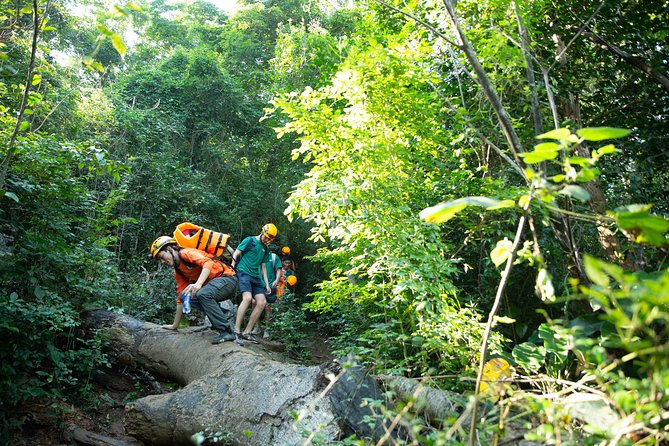 Abandoned Valley Adventure - E Cave & Golden Cave - 1D - Golden Cave: 600 meters of golden formations and cave pearls