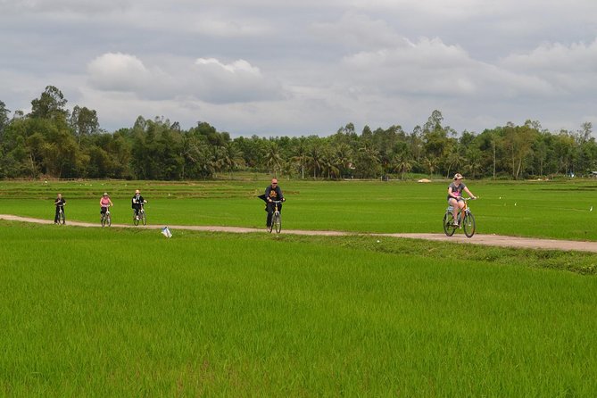 Adventure Bike Tour from Hoi An - Rice fields and village roads: why the route feels authentic