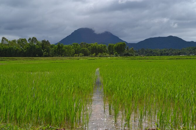 Adventure Bike Tour from Hoi An - Lunch and pacing: the small comforts that keep the day enjoyable