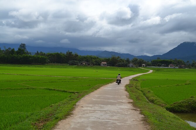 Adventure Bike Tour from Hoi An - Price and value: $89 for a full day with the hard parts handled