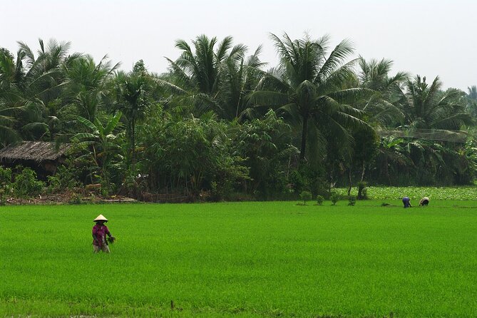 Adventure Cu Chi Tunnels and Mekong Delta Tour From HCM - My Tho on the Mekong: islands, canals, and daily life