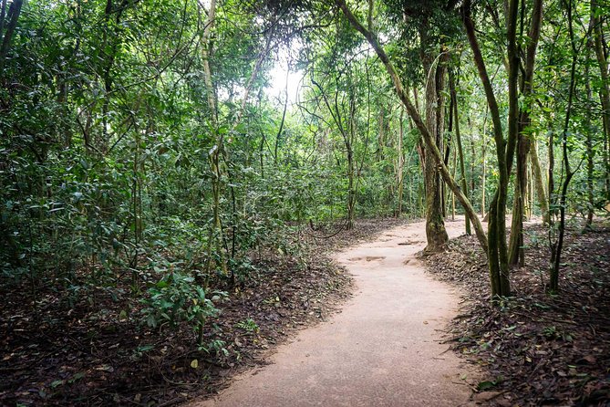 Afternoon Cu Chi Tunnels - Small Group Half-Day Tour - Before you go underground: videos that help you read what you see