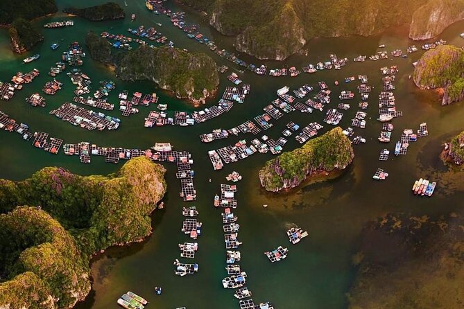 Amazing day - Boat trip discover real Ha Long Bay and Lan Ha Bay - Pickup from Cat Ba to Bến Bèo pier: smooth when you match the pickup point
