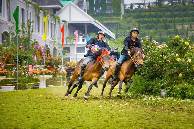 Amazing Sapa Fansipan Cable Car - Trekking: Fun, Majestic fr Sapa - Lunch, vegetarian needs, and what to check in advance