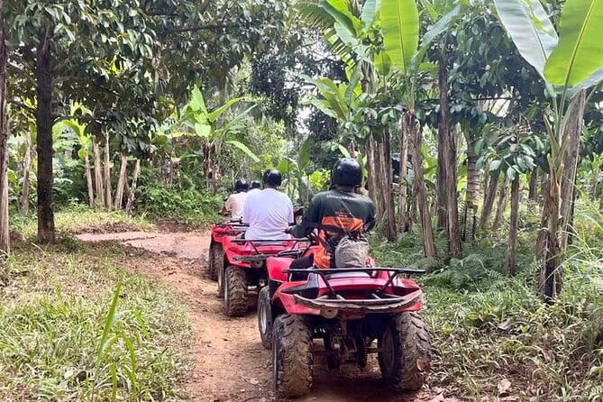 ATV Quad Bike Adventure from Hoi An or Danang - Two Hours of ATV Thrills: Rice Paddies, Jungle Tracks, and River Crossing