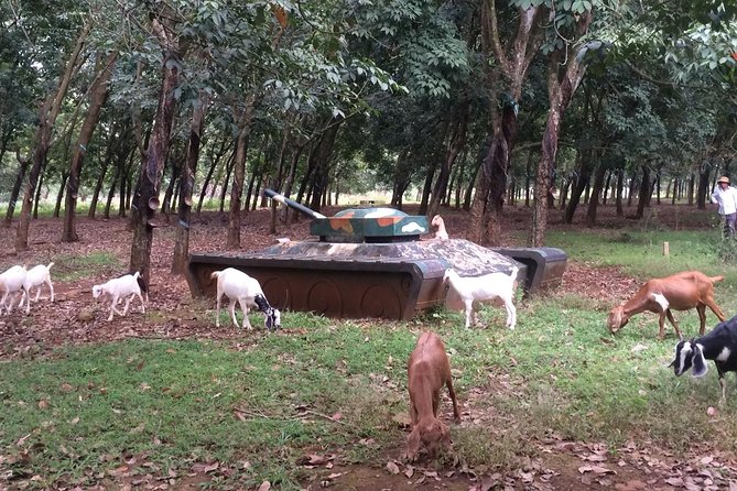 Australian Base, Long Tan & Nui Dat Tour with Vung Tau Beach - Stop 2: Long Phuoc Tunnels, lunch in Vung Tau, then the Robert Taylor Museum