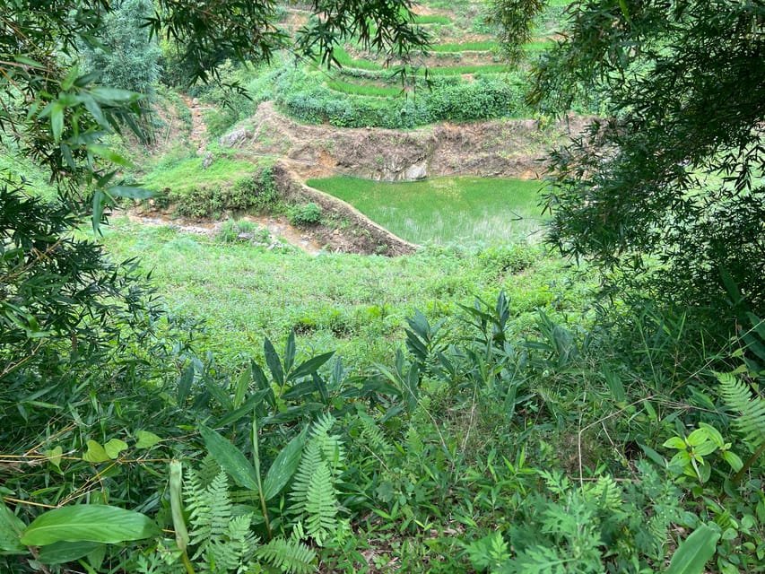 AUTHENIC 2D1N Trek & Bungalow Retreat with Dinh Hmong Family - Who Should Book This 2D1N Hmong Trek (and Who Should Skip)