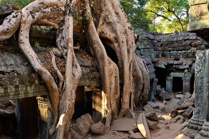 Authentic Vietnam And Cambodia 14-Days - From Hanoi to Siem Reap - Day 1-2: settling into Hanoi, then trading traffic for Ba Vi tea and cooking