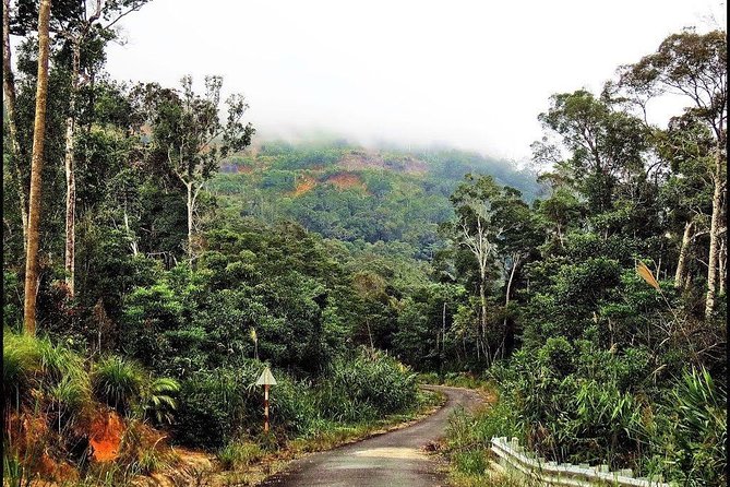 Ba Ho waterfalls ( Trekking + Swimming + Jumping +Amazing Nature) - Ba Ho Waterfalls: The 4-Hour Pace That Makes It Worth It