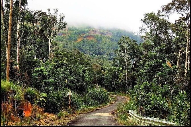 Ba Ho waterfalls ( Trekking + Swimming + Jumping +Amazing Nature) - Price and Value: How the $49 Adds Up (and What Else You Should Budget)