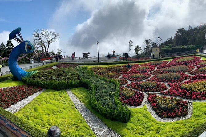 Ba Na Hills & Golden Bridge Tour from Da Nang - Golden Bridge on the Golden Hands: crowds, weather, and photo moves