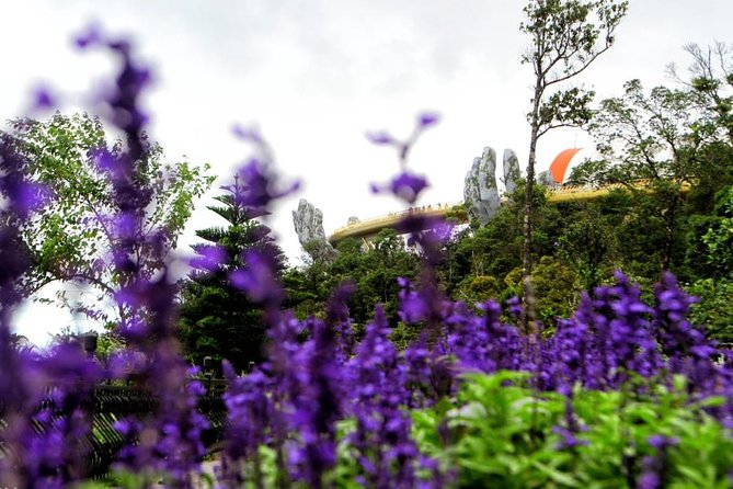 Ba Na Hills Private Tour - Flower Garden by train: easy photos with less effort