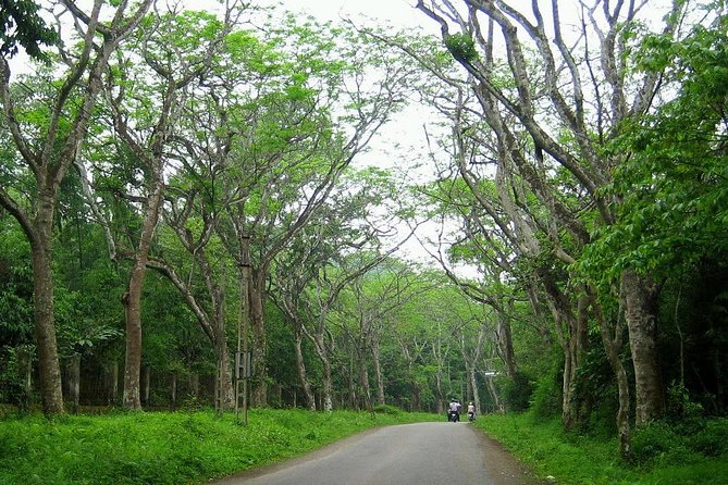 Ba Vi National Park Private Tour: Sightseeings & Jungle Hikking - Thuong Temple: The Step Count Reality Check (And How to Make It Comfortable)