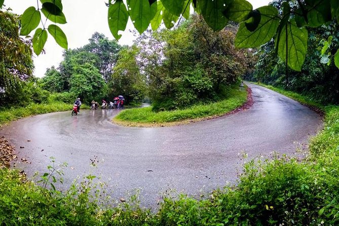 Ba Vi National Park Private Tour: Sightseeings & Jungle Hikking - Tan Vien Peak Fog: When the Weather Makes the Tour Feel Different