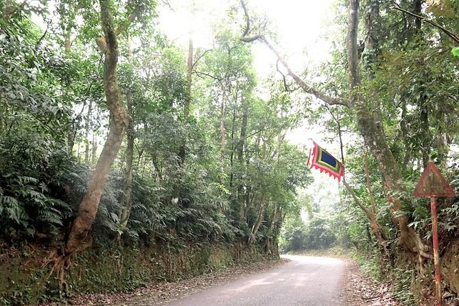 Ba Vi National Park Private Tour: Sightseeings & Jungle Hikking - Stop 1: Bavi Church Ruins in the Pine Forest (And What the Hike Feels Like)