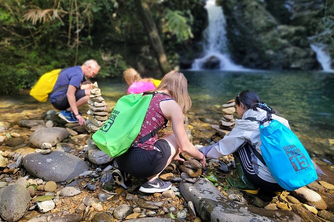 Bach Ma National Park trekking daily tour from Da Nang, Hoi An - Entering Bach Ma National Park the right way: intro, Km12, and forest access