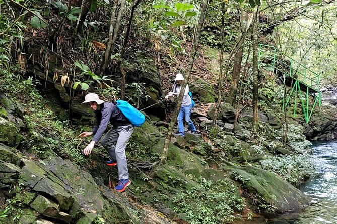 Bach Ma National Park trekking daily tour from Da Nang, Hoi An - Who this is best for (and who should think twice)