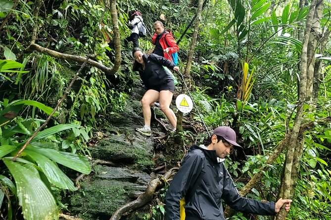 Bach Ma National Park trekking deluxe daily tour from Hue - Price and value: what $49 really buys you