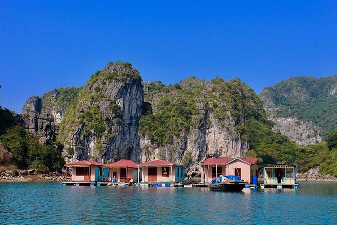 Bai Tu Long Bay 2 Day 1 Night Cruise - Meals on Board: Fresh Food, Big Portions, and Veg Options